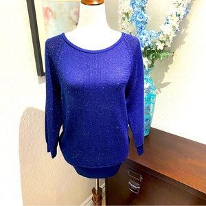 NWT whbm sparkly lightweight sweater